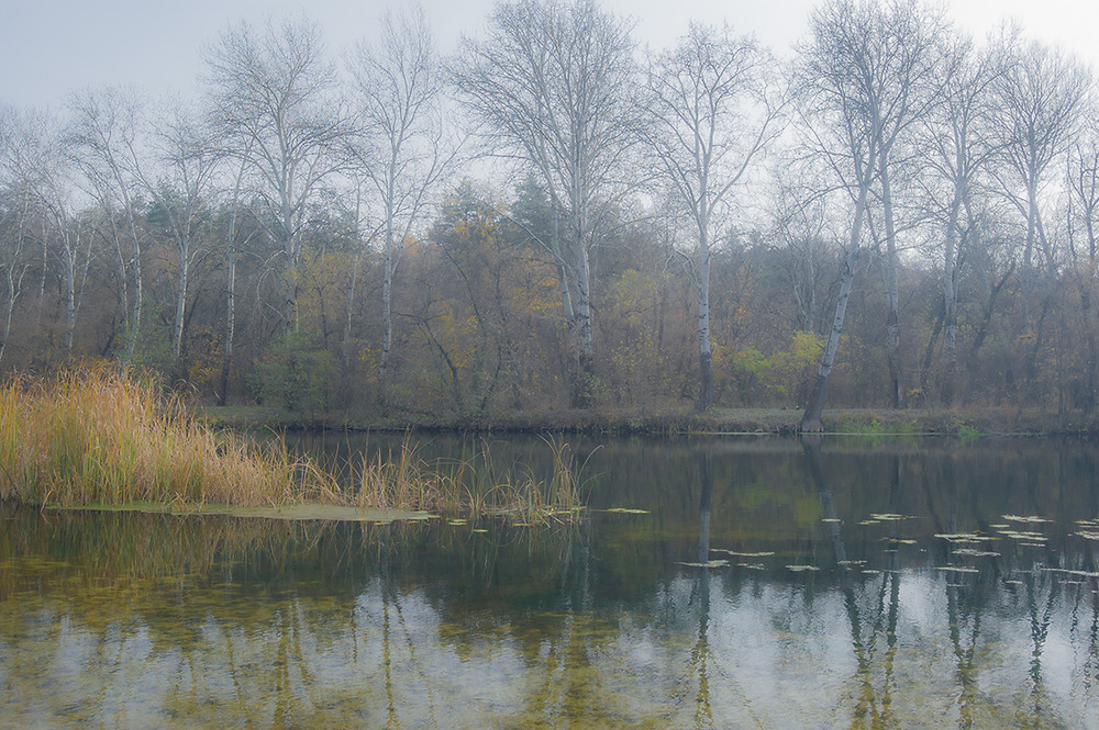 Фотографія *** / Евгений Шамай / photographers.ua