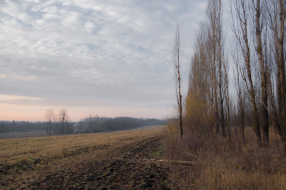 Фотографія *** / Евгений Шамай / photographers.ua