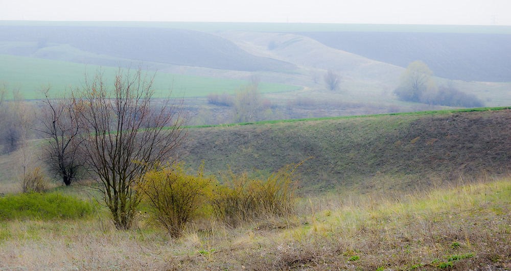 Фотографія *** / Евгений Шамай / photographers.ua