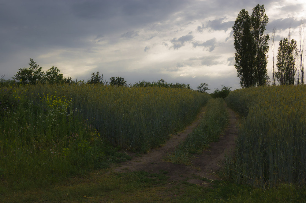 Фотографія *** / Евгений Шамай / photographers.ua