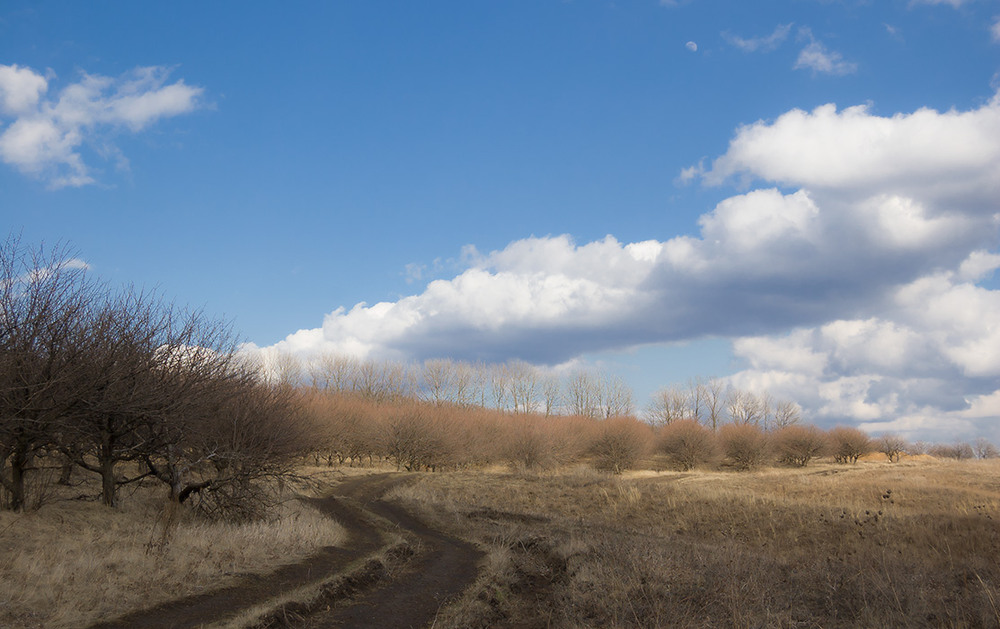 Фотографія *** / Евгений Шамай / photographers.ua