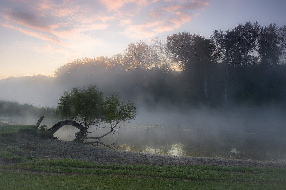 Фотографія *** / Евгений Шамай / photographers.ua