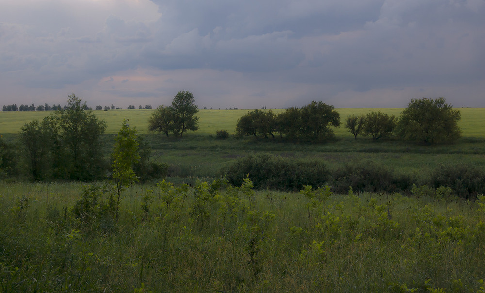 Фотографія *** / Евгений Шамай / photographers.ua