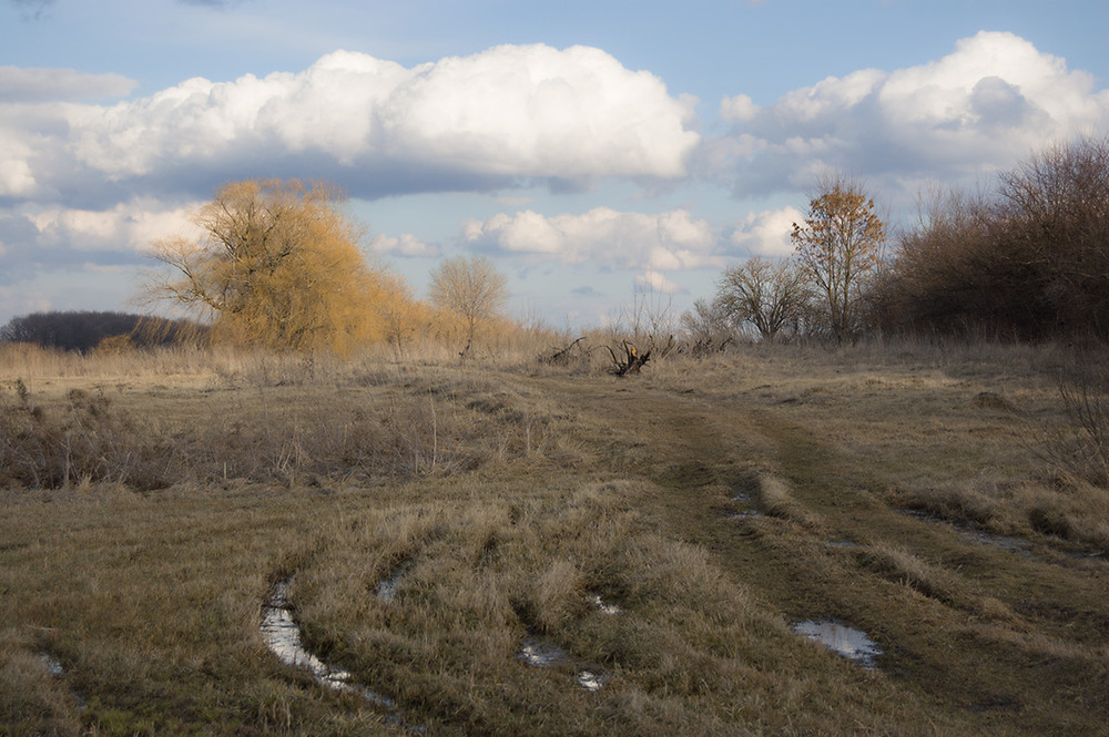 Фотографія *** / Евгений Шамай / photographers.ua