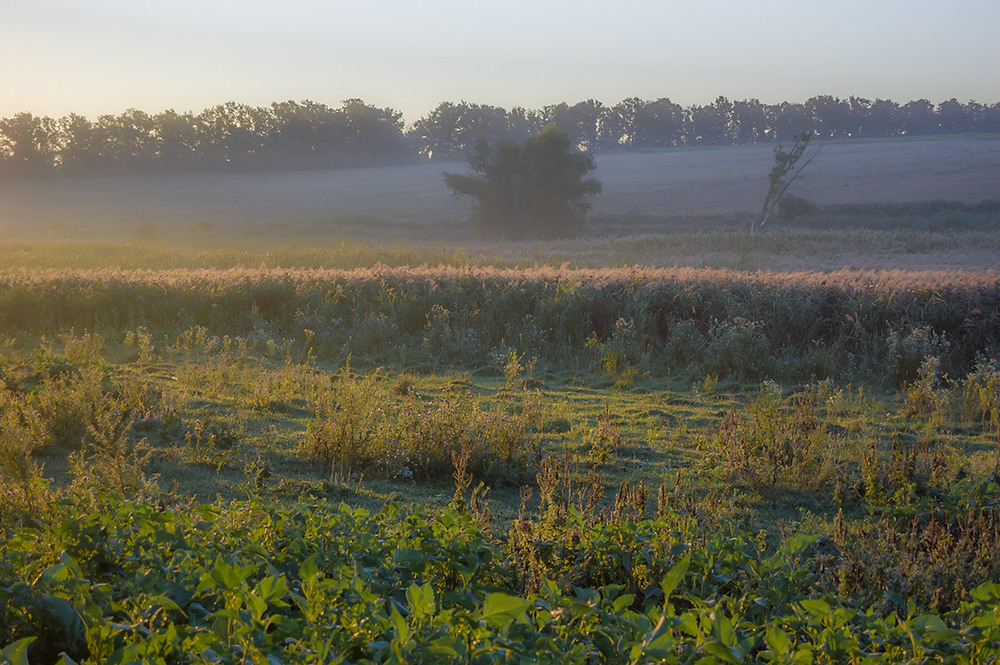 Фотографія *** / Евгений Шамай / photographers.ua