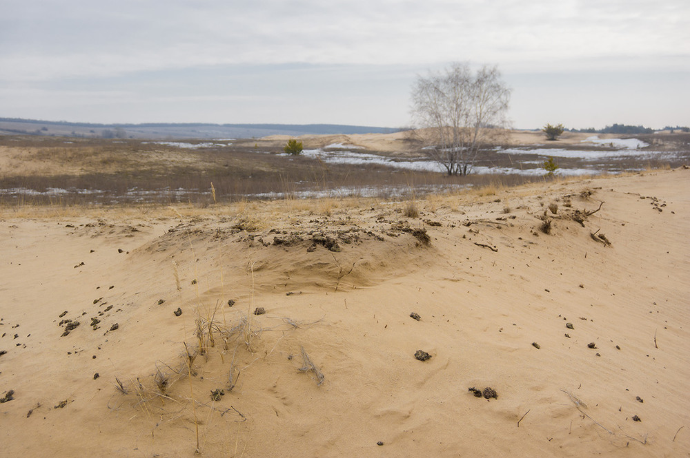 Фотографія *** / Евгений Шамай / photographers.ua