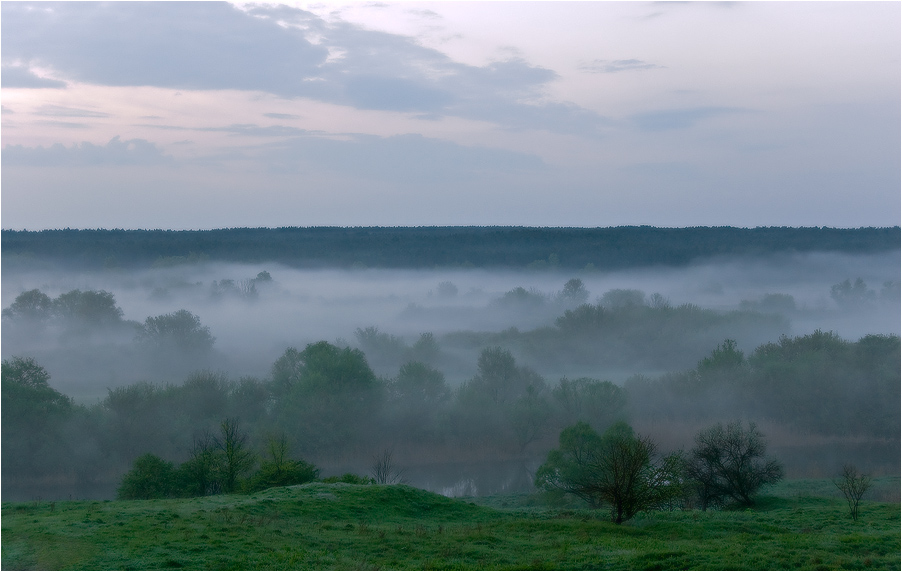 Фотографія Сон о тумане. / Евгений Шамай / photographers.ua