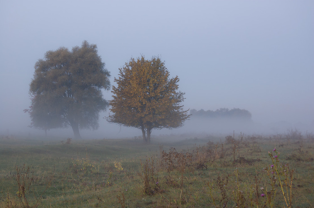 Фотографія *** / Евгений Шамай / photographers.ua