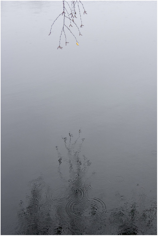 Фотографія Пейзаж с разводами на воде и маленьким жёлтеньким листиком. / Евгений Шамай / photographers.ua