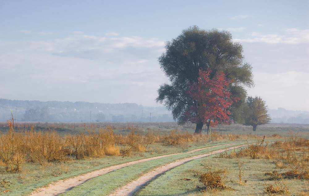 Фотографія *** / Евгений Шамай / photographers.ua