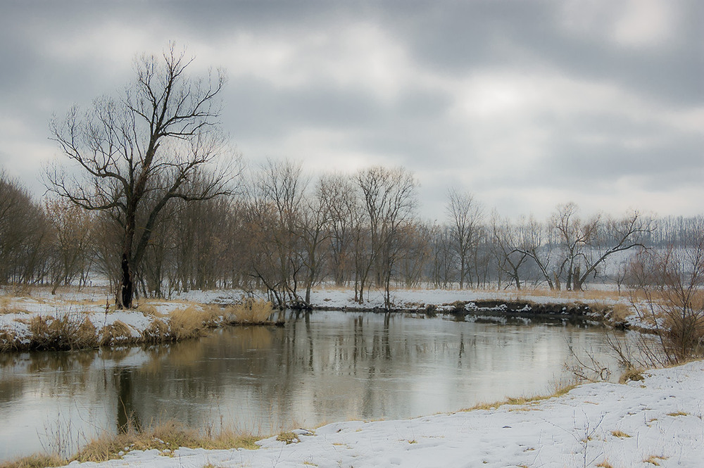 Фотографія *** / Евгений Шамай / photographers.ua