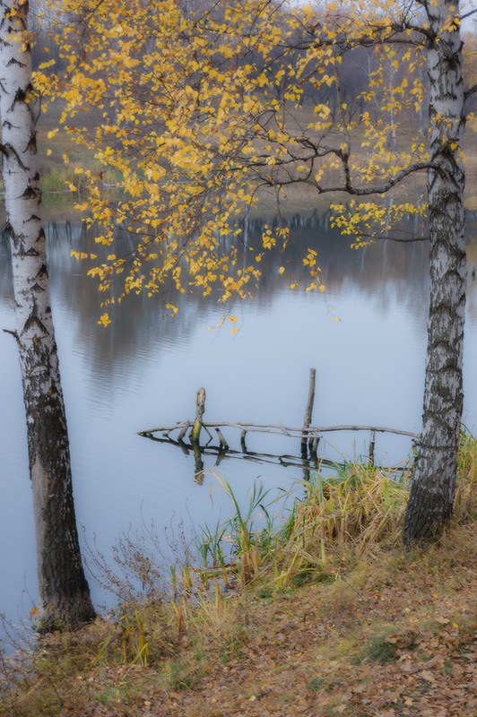 Фотографія *** / Евгений Шамай / photographers.ua
