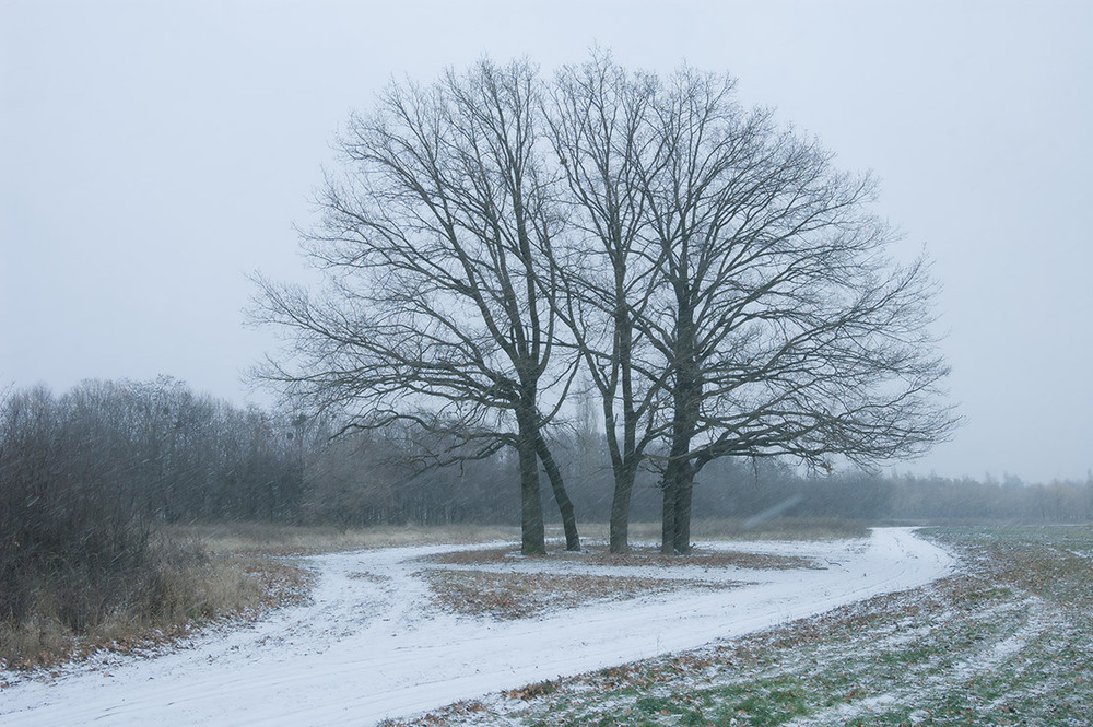 Фотографія *** / Евгений Шамай / photographers.ua