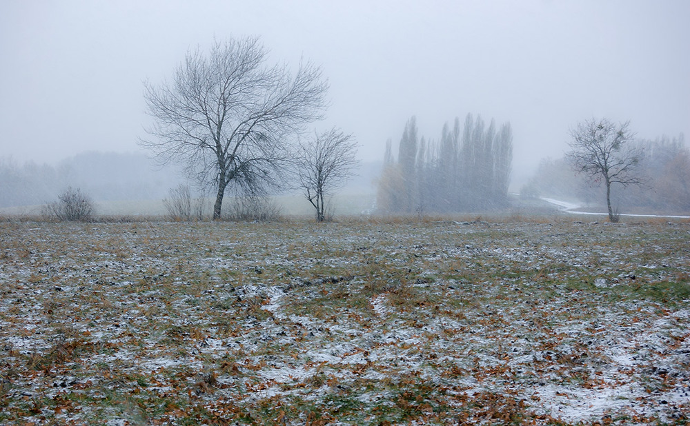 Фотографія *** / Евгений Шамай / photographers.ua