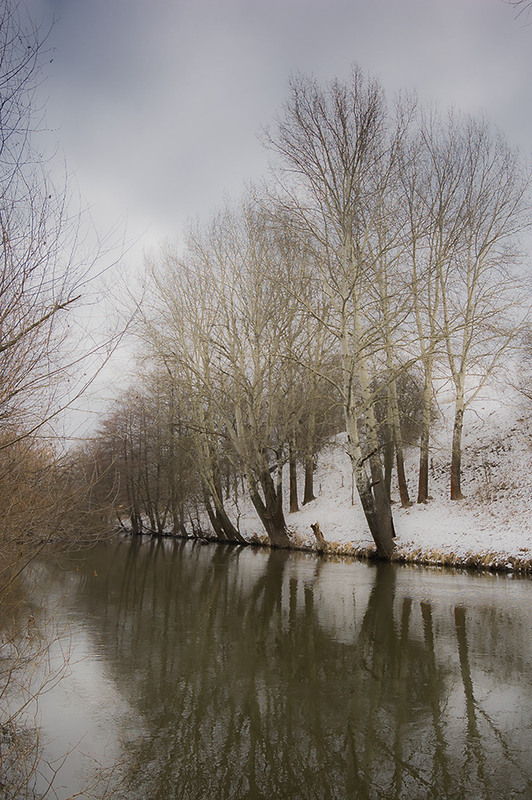Фотографія *** / Евгений Шамай / photographers.ua
