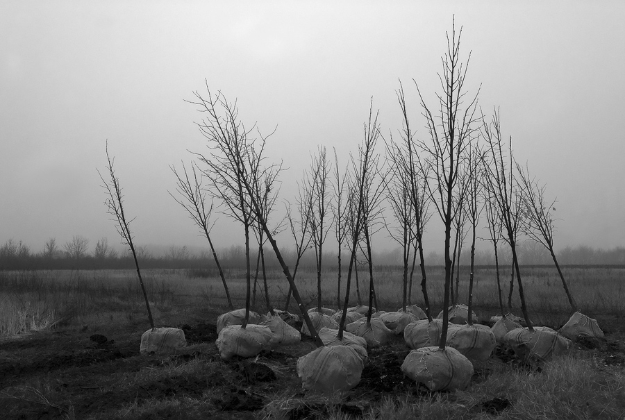 Фотографія *** / Евгений Шамай / photographers.ua