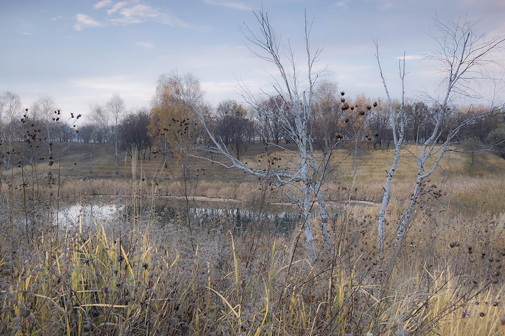 Фотографія *** / Евгений Шамай / photographers.ua
