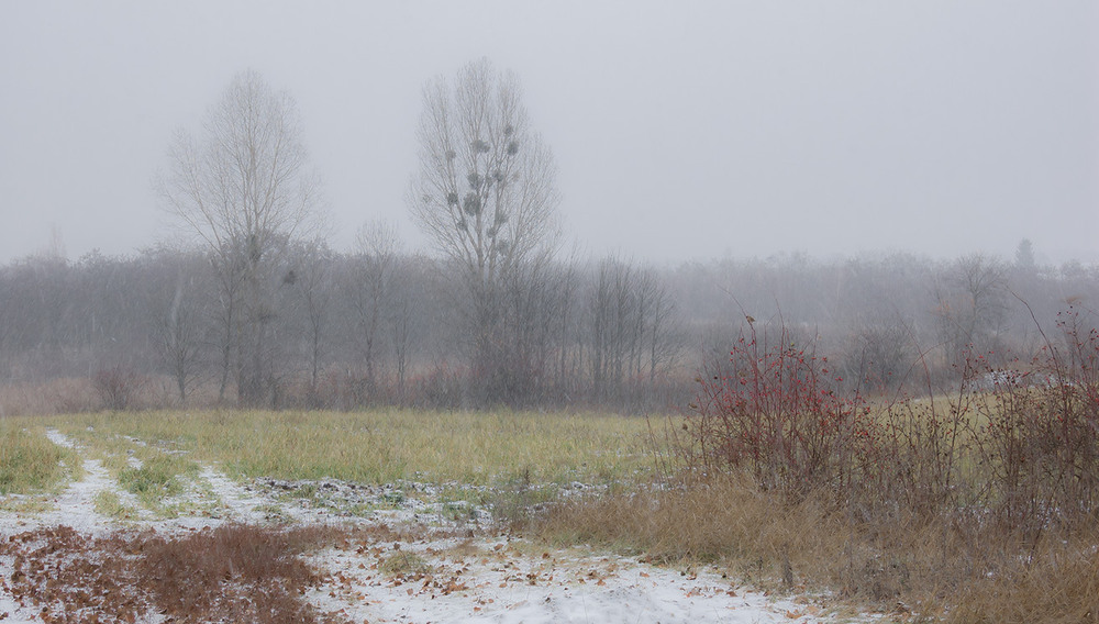 Фотографія *** / Евгений Шамай / photographers.ua