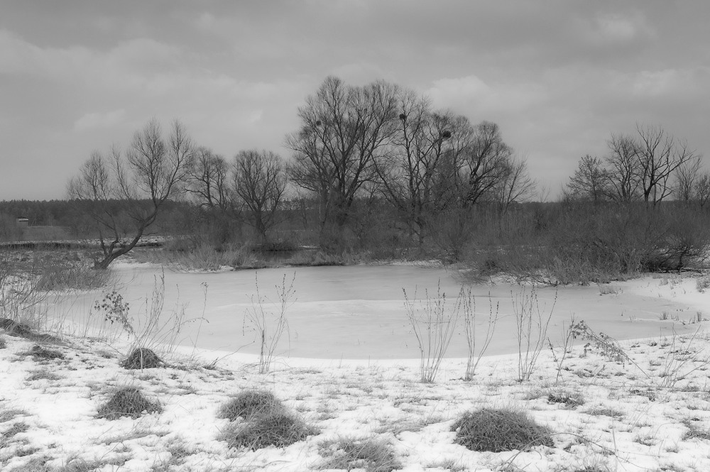 Фотографія *** / Евгений Шамай / photographers.ua