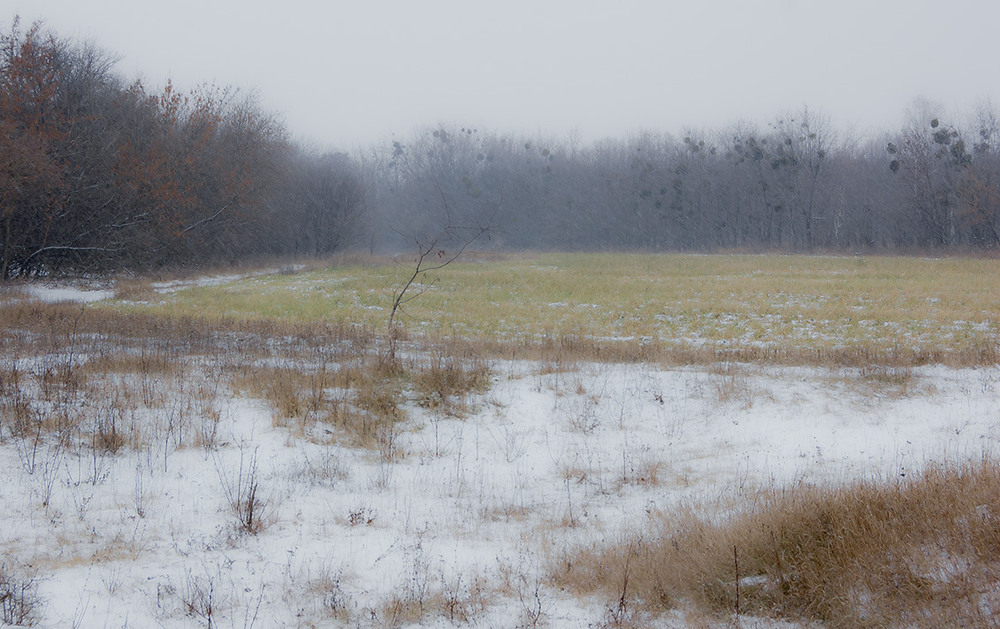 Фотографія *** / Евгений Шамай / photographers.ua