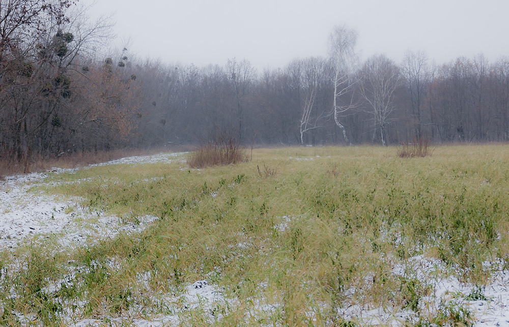Фотографія *** / Евгений Шамай / photographers.ua