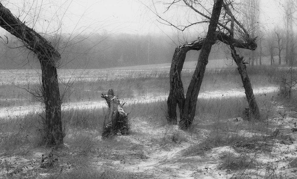 Фотографія *** / Евгений Шамай / photographers.ua