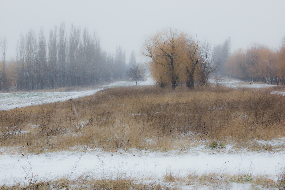 Фотографія *** / Евгений Шамай / photographers.ua