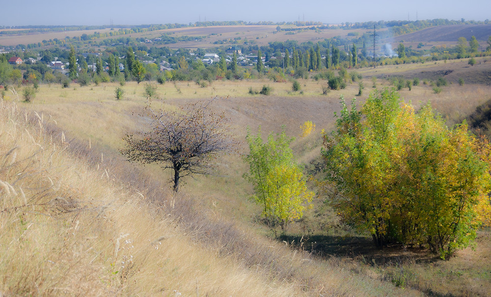 Фотографія *** / Евгений Шамай / photographers.ua
