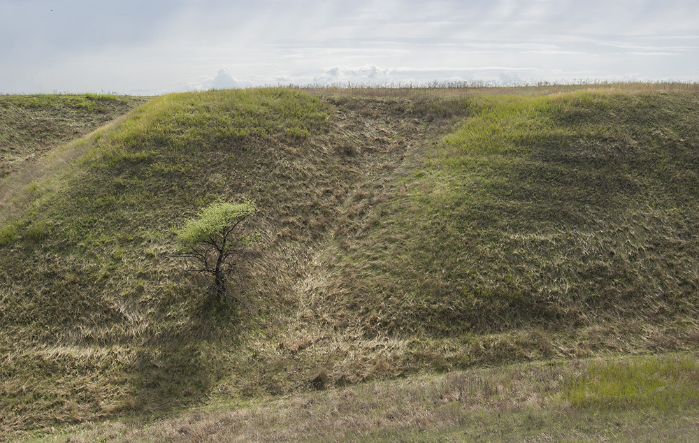 Фотографія *** / Евгений Шамай / photographers.ua