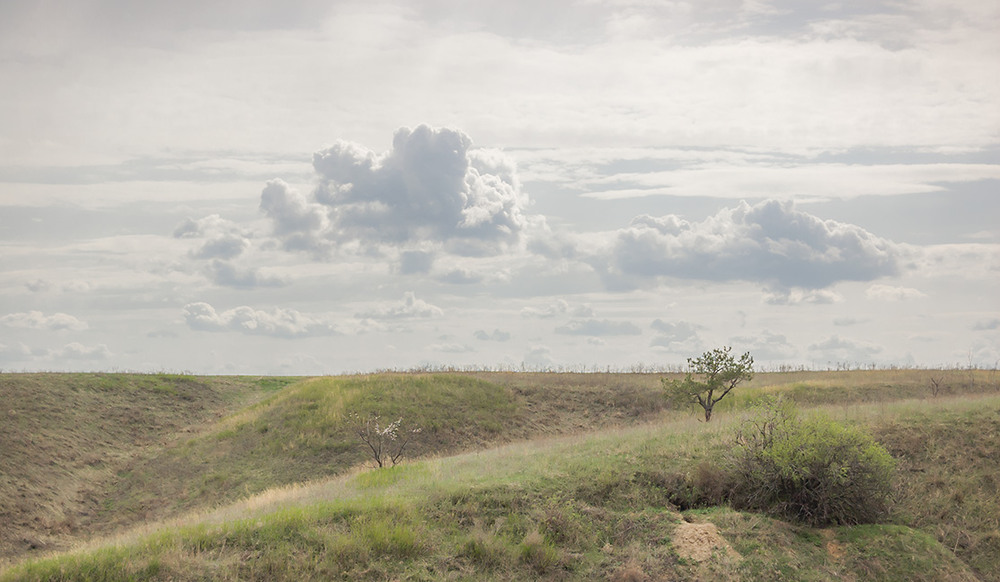 Фотографія *** / Евгений Шамай / photographers.ua