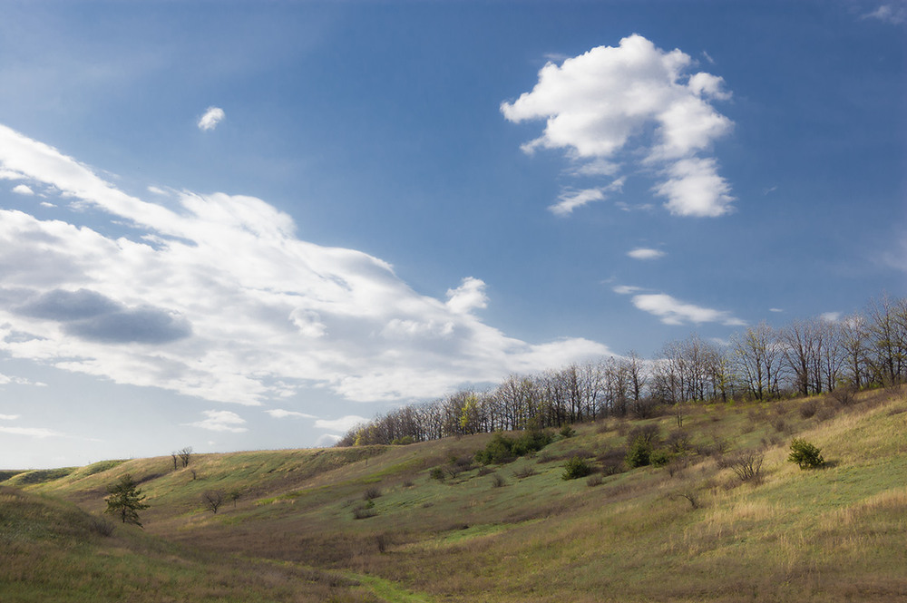 Фотографія *** / Евгений Шамай / photographers.ua