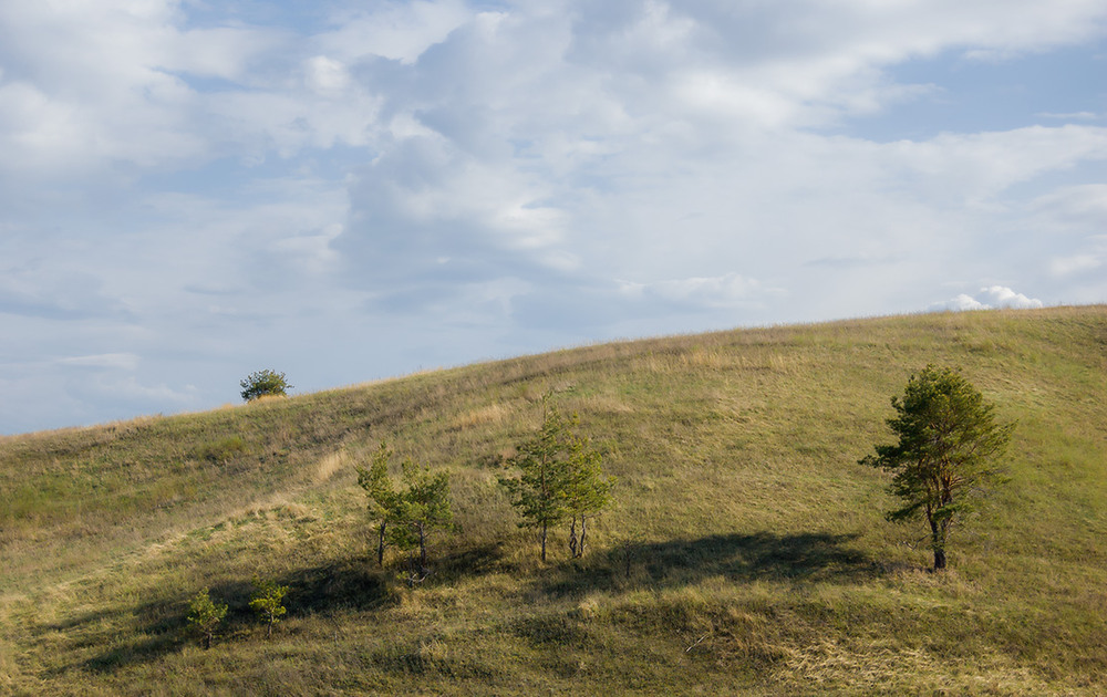 Фотографія *** / Евгений Шамай / photographers.ua