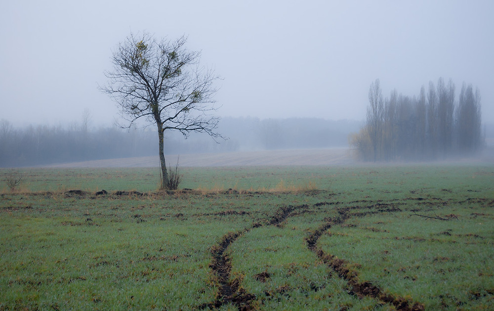 Фотографія *** / Евгений Шамай / photographers.ua
