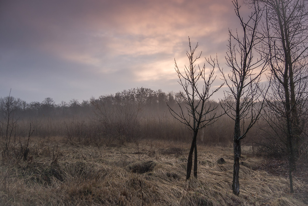 Фотографія *** / Евгений Шамай / photographers.ua