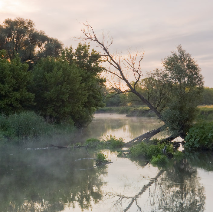 Фотографія *** / Евгений Шамай / photographers.ua