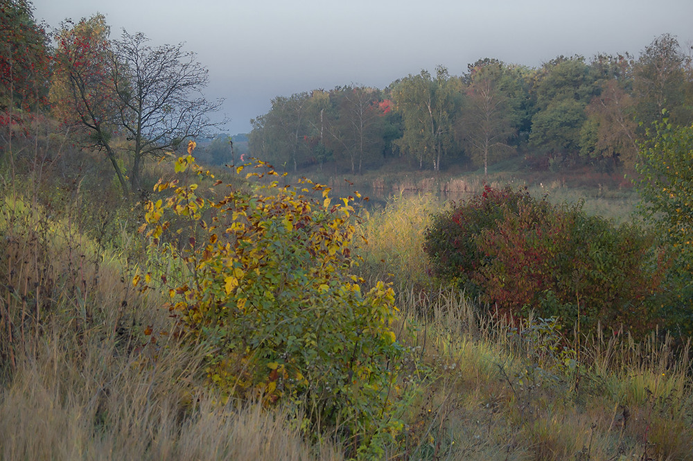 Фотографія *** / Евгений Шамай / photographers.ua