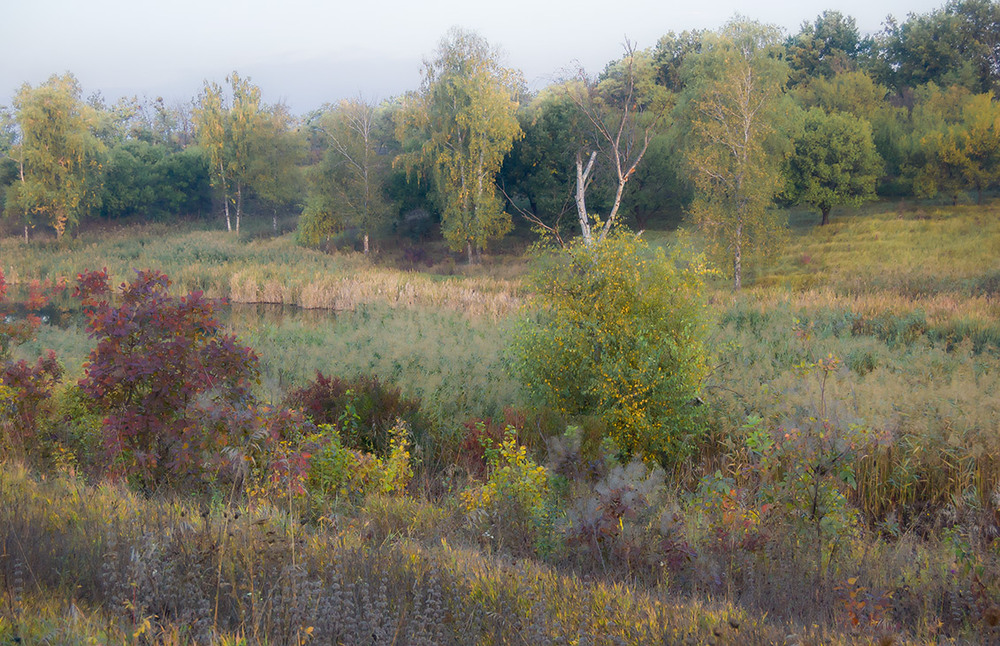 Фотографія *** / Евгений Шамай / photographers.ua
