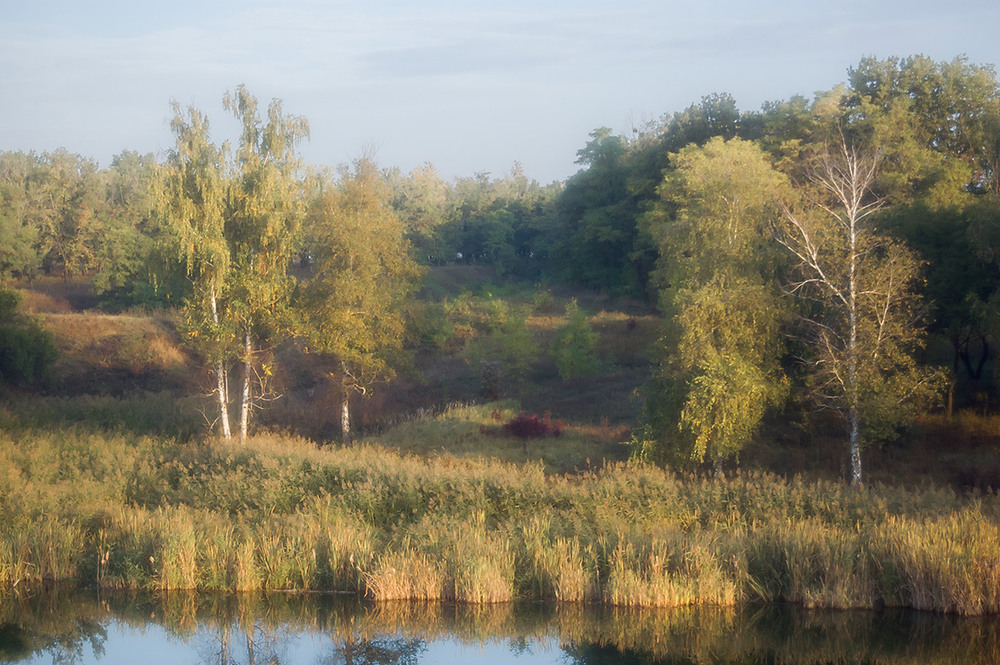 Фотографія *** / Евгений Шамай / photographers.ua