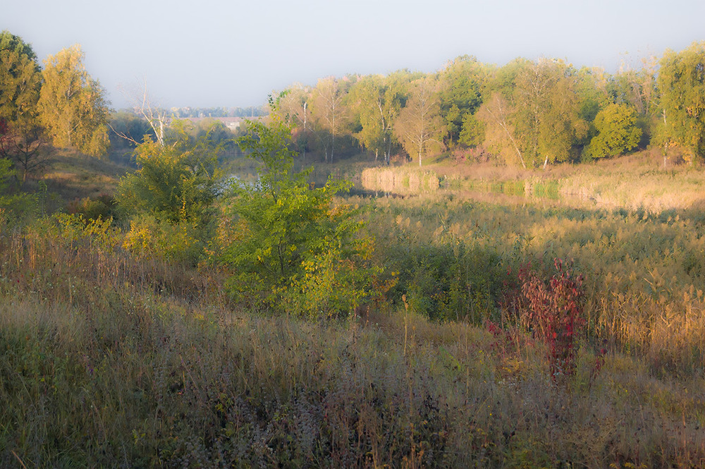 Фотографія *** / Евгений Шамай / photographers.ua