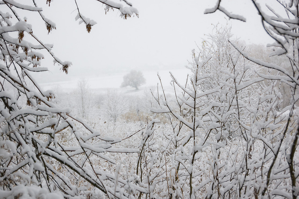 Фотографія *** / Евгений Шамай / photographers.ua