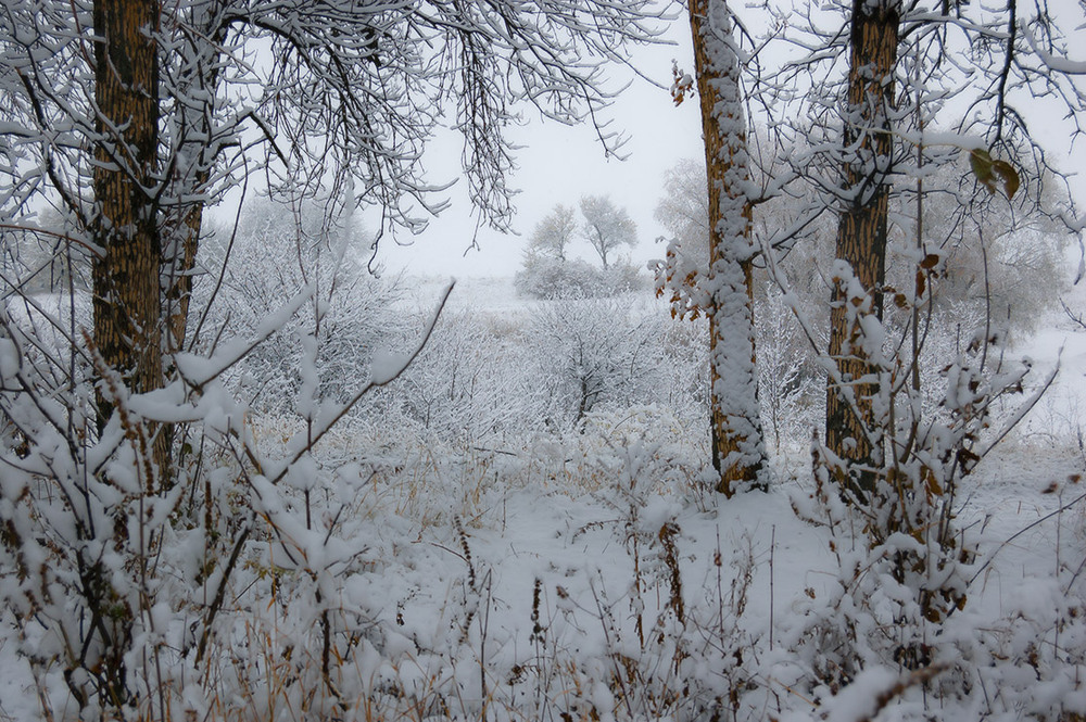Фотографія *** / Евгений Шамай / photographers.ua