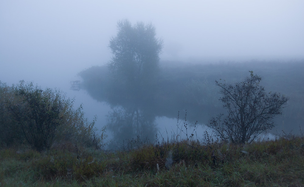 Фотографія *** / Евгений Шамай / photographers.ua