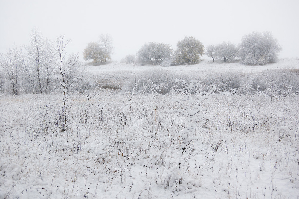 Фотографія *** / Евгений Шамай / photographers.ua