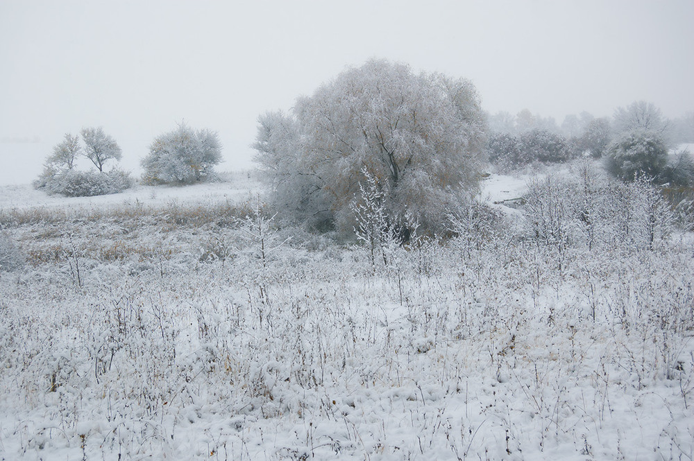 Фотографія *** / Евгений Шамай / photographers.ua