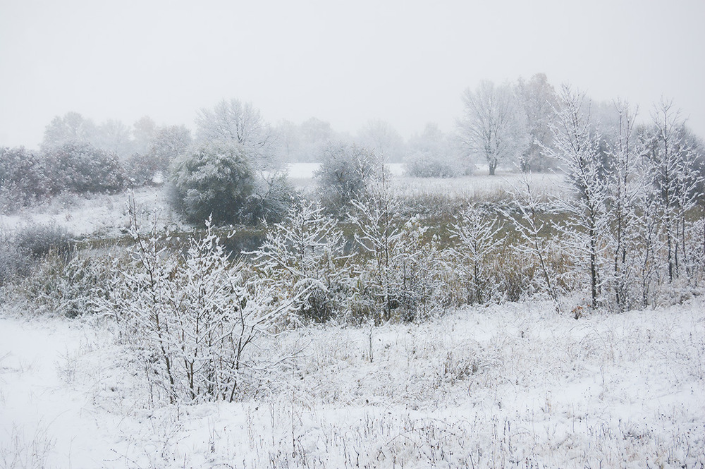 Фотографія *** / Евгений Шамай / photographers.ua