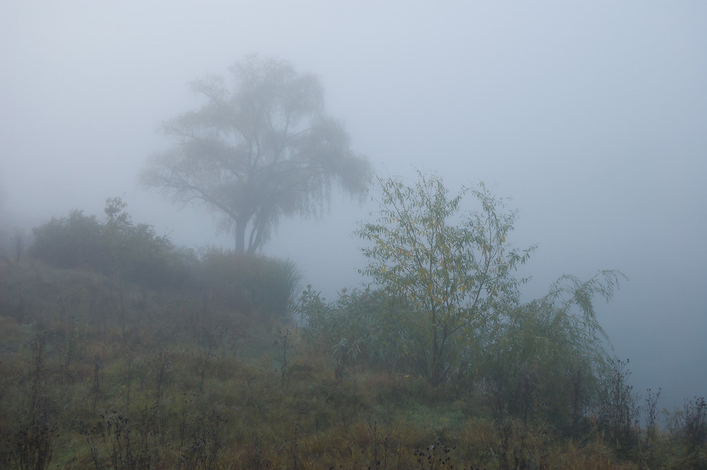 Фотографія *** / Евгений Шамай / photographers.ua