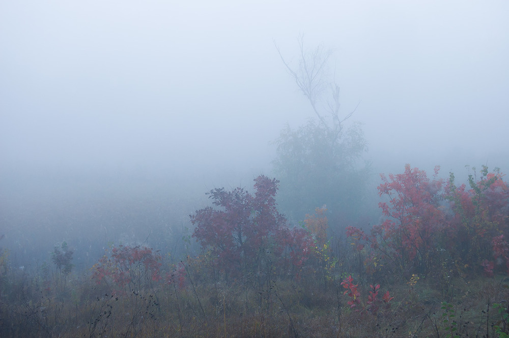 Фотографія *** / Евгений Шамай / photographers.ua