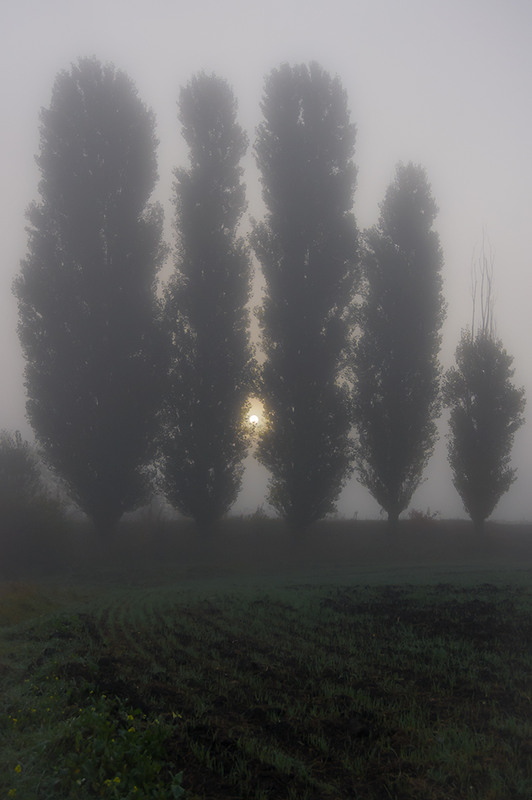 Фотографія *** / Евгений Шамай / photographers.ua