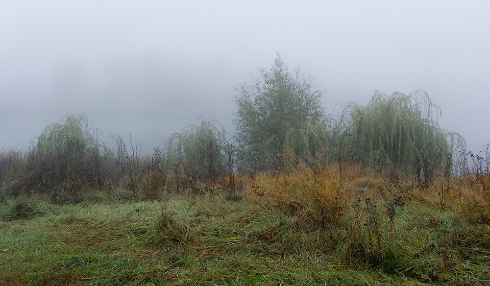 Фотографія *** / Евгений Шамай / photographers.ua