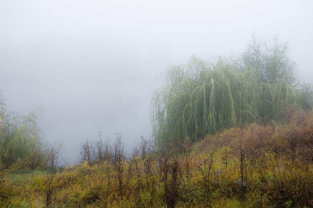 Фотографія *** / Евгений Шамай / photographers.ua